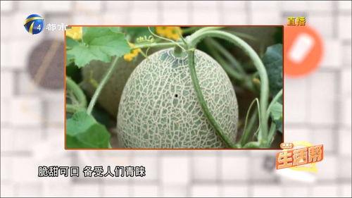 吃瓜网中心,热门话题背后的真相与趣味